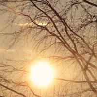 CONSOLADOR PROMETIDO