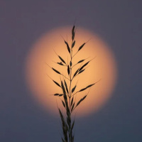 EM TORNO DA HUMILDADE