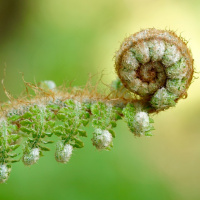 A EVOLUÇÃO DO ESPÍRITO