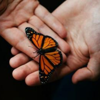 PACIÊNCIA E HUMILDADE