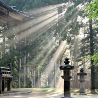 CAP I NÃO VIM DESTRUIR A LEI