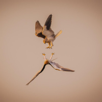 LIBERTAÇÃO DO PASSADO