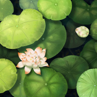 A VITÓRIA SOBRE SI MESMO