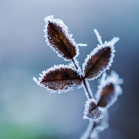 PERISPÍRITO E MEDIUNIDADE