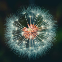 OS ÚLTIMOS SERÃO OS PRIMEIROS