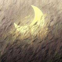 PSICOLOGIA E ESPIRITUALIDADE