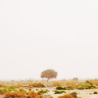 PRESSUPOSTOS DA PSICOLOGIA DO ESPÍRITO