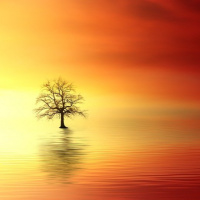 3º SEMINARIO ILUMINAÇÃO INTERIOR