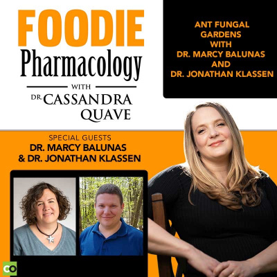 Foodie Pharmacology