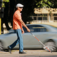 Perspectives on Being Blind in Mauritius