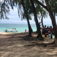 Professional Choices