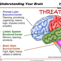 The Power of Emotions