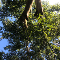 Strategies to Grounding Oneself