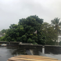 The Power of the Rain: Nature’s Emotional Intelligence