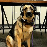 #313 - Soundtrack Of Your Drive