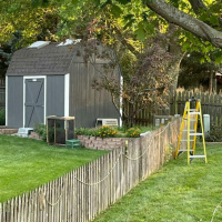 #373 - Catching Kittens Is Serious Work