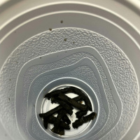 #351- Rotten Sink Beans