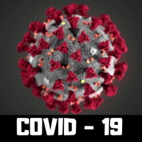 CORONAVIRUS, SANIDAD, EDUCACIÓN y Una sociedad en pañales