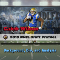 Caleb Wilson | 2019 NFL Draft Profile