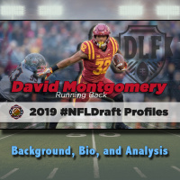 David Montgomery | 2019 NFL Draft Profile