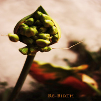 Encauzarte #128: Crear Comunidad