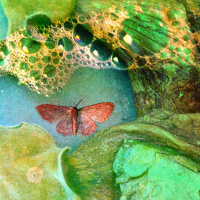 Encausarte #49: Cambiar de Perspectiva = Cambiar la Forma de Vivir la Vida