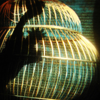 Encauzarte #130: Apegos, Aferro y Dejar Ir