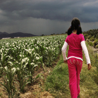 Encauzarte #146: Autonomía y Heteronomía