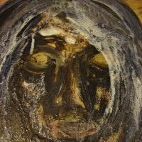 Encauzarte #117: Dejar de Ser Duros Con Nosotros Mismos