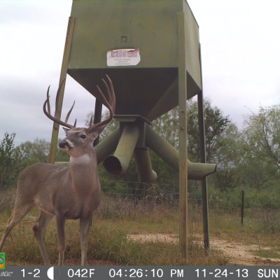 Nine Finger Chronicles | Sportsmens Nation