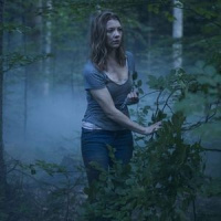 Appropriating Aokigahara?: Talking The Forest (2016)