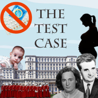 The Test Case