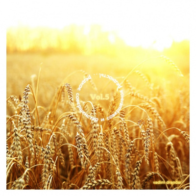 Vadim Drandar - Tonality