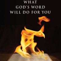 God’s Word—Our Mirror