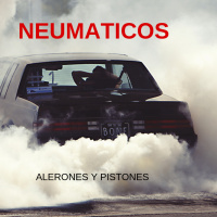 ¿POR QUÉ SON IMPORTANTES LOS NEUMÁTICOS?