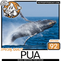 EP92: PUA - Whale watching tour guide