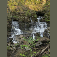 live_Good_Morning_Meditation__20240229_064536