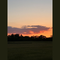 live_Morning_Meditation__20240502_064617