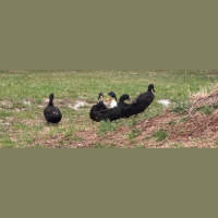 live_Good_Morning_Meditation__20240313_063108