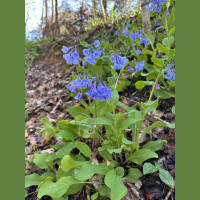 live_Morning_Meditation__20240405_063548