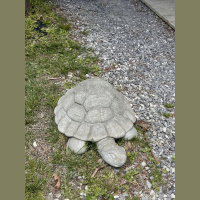 live_Morning_Meditation__20240424_062252