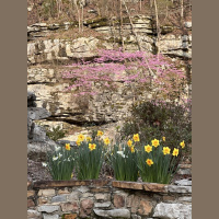 live_Morning_Meditation__20240319_065433