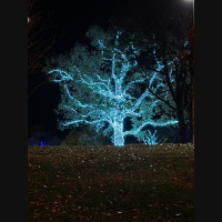 live_Good_Morning_Meditation__20240222_064941