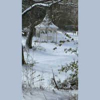 live_Good_Morning_Meditation__20240227_063544