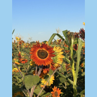 live_Good_Morning_Meditation__20240226_090930