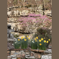 live_Morning_Meditation__20240412_062847