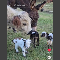 live_Morning_Meditation__20240503_064209