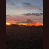 live_Morning_Meditation__20240416_063504