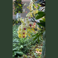 live_Good_Morning_Meditation__20240312_063452