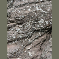 live_Morning_Meditation__20240423_063532